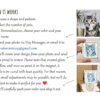 Custom Pet Portrait Ceramic Magnet